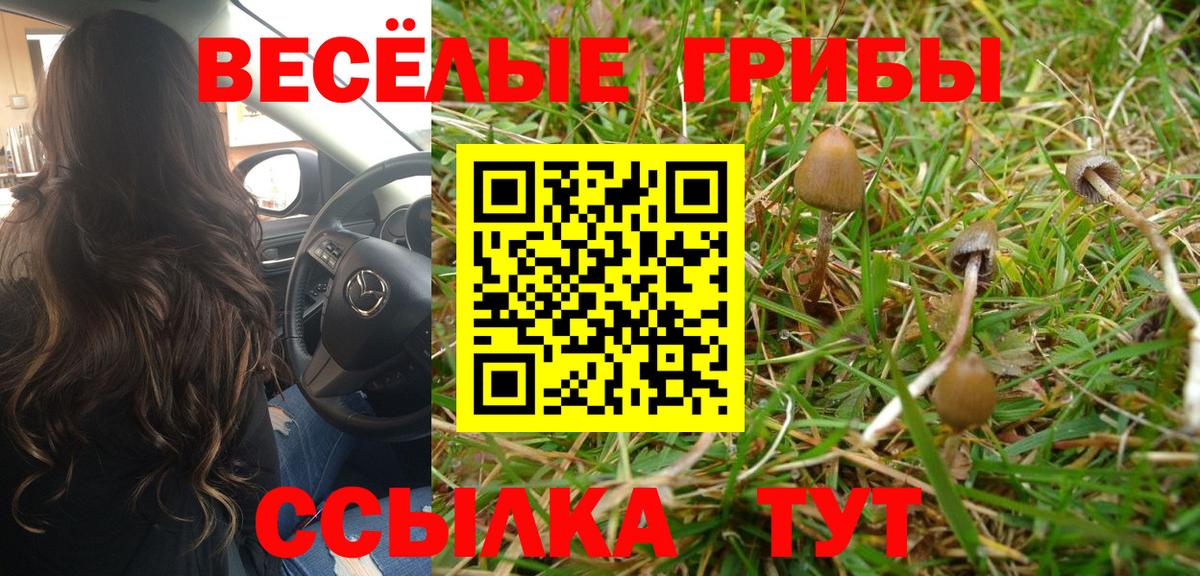 Галлюциногенные грибы GOLDEN TEACHER Россия