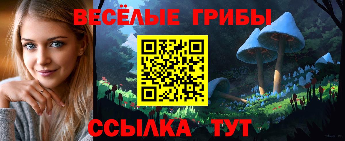 закладки  Галлюциногенные грибы Cubensis  Вход с VPN  Псилоцибиновые грибы Psilocybe  Россия 